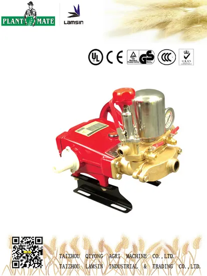 Water Pump with ISO9001 (LS-80) High Pressure Dosing Pump